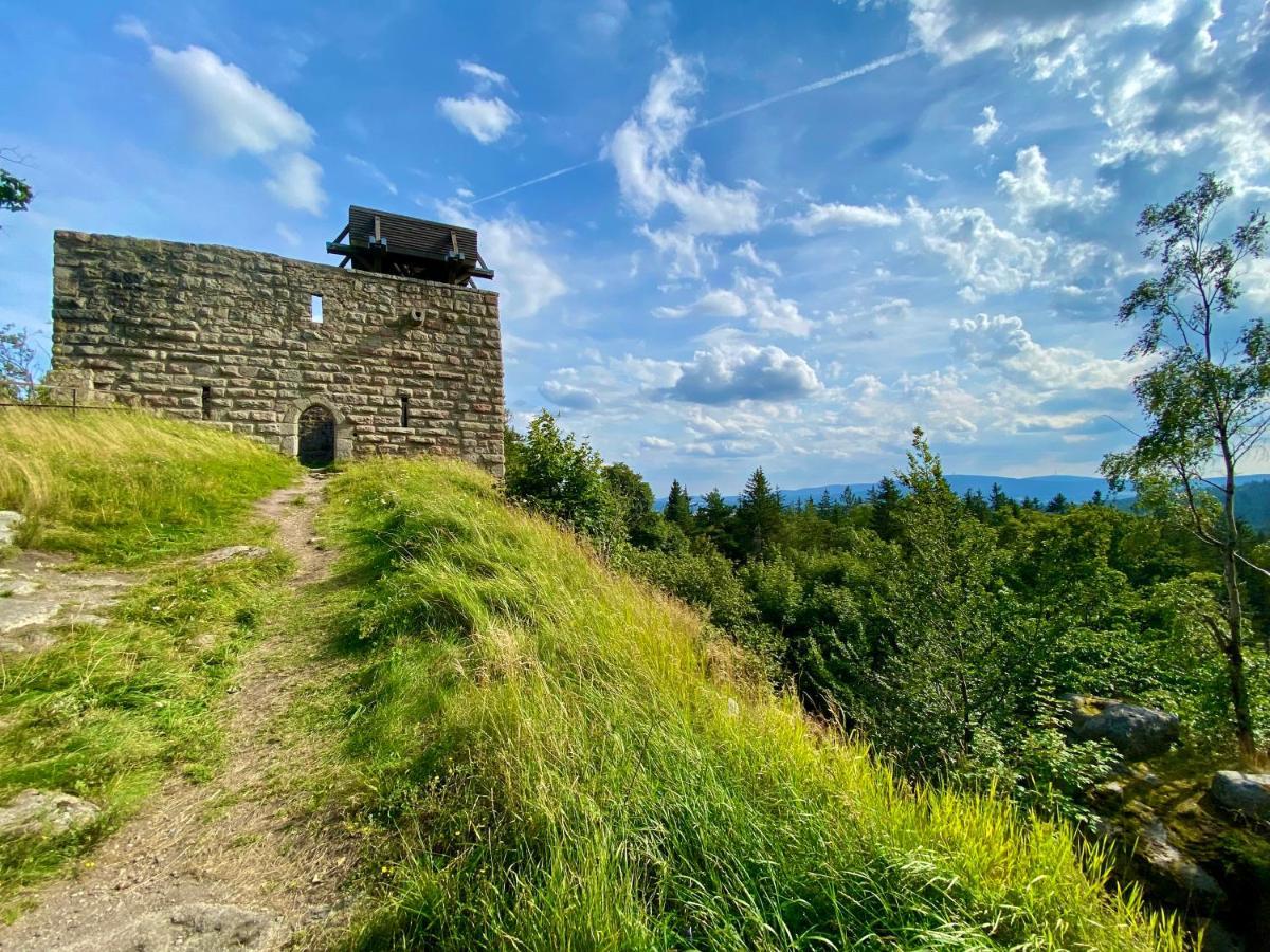 Ferienwohnung Oxana Im Naturpark Fichtelgebirge Schonwald  Экстерьер фото