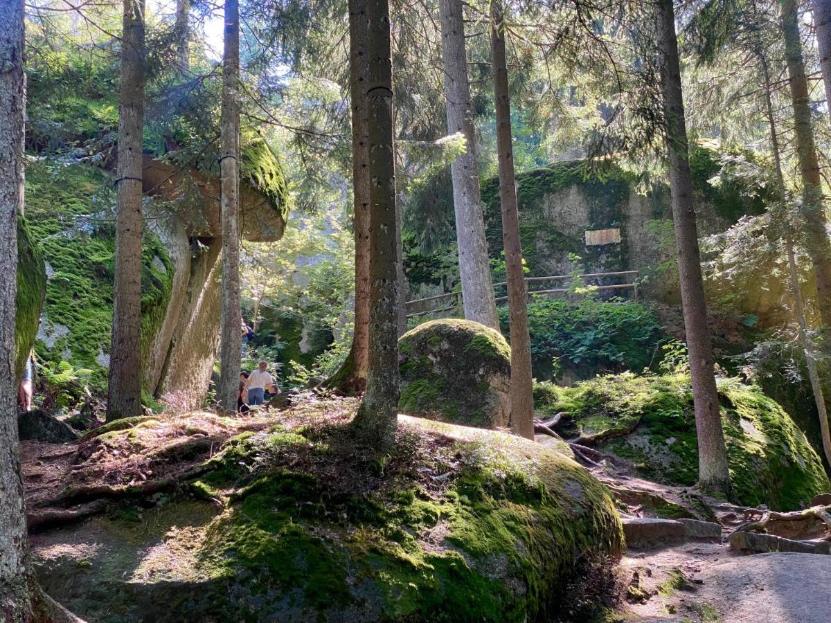 Ferienwohnung Oxana Im Naturpark Fichtelgebirge Schonwald  Экстерьер фото