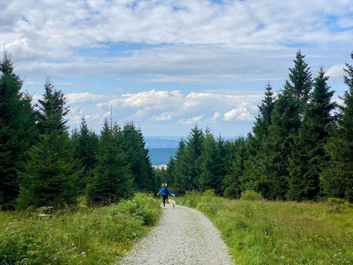 Ferienwohnung Oxana Im Naturpark Fichtelgebirge Schonwald  Экстерьер фото