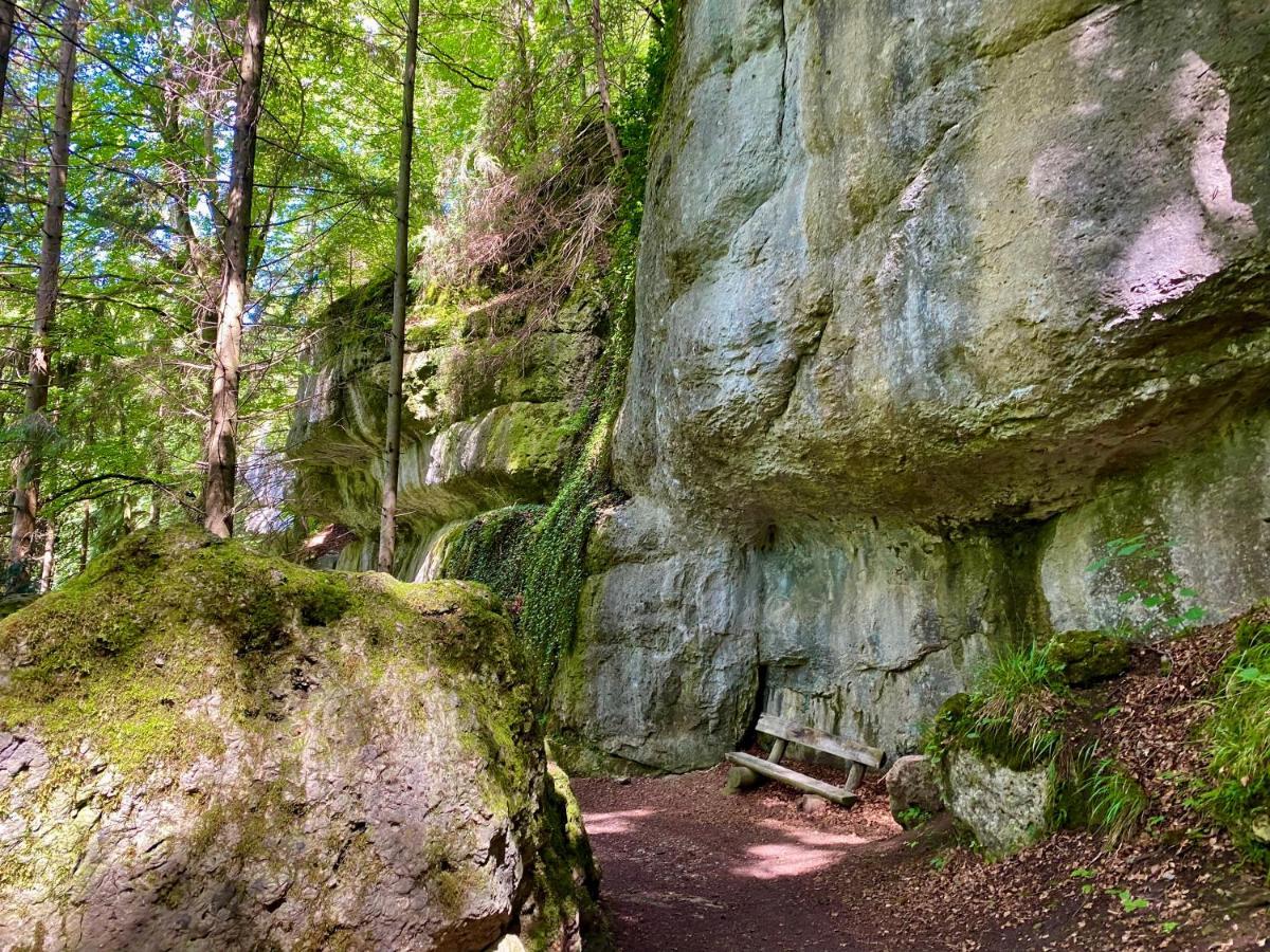 Ferienwohnung Oxana Im Naturpark Fichtelgebirge Schonwald  Экстерьер фото