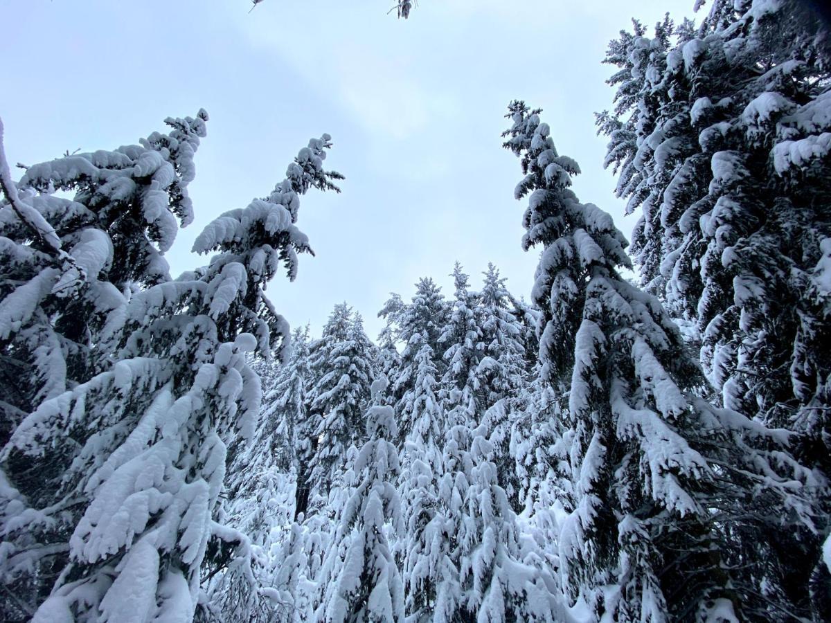Ferienwohnung Oxana Im Naturpark Fichtelgebirge Schonwald  Экстерьер фото