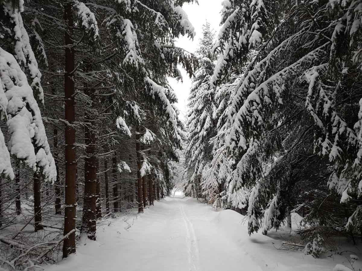 Ferienwohnung Oxana Im Naturpark Fichtelgebirge Schonwald  Экстерьер фото